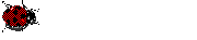 coccinelle 19