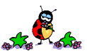coccinelle 25