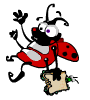 coccinelle 26