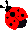 coccinelle 27