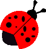 coccinelle 28