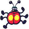 coccinelle 29