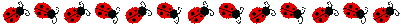 coccinelle 33