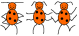 coccinelle 35