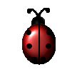 coccinelle 37