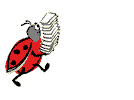 coccinelle 42