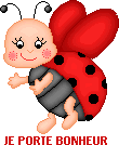 coccinelle 43