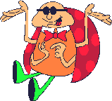 coccinelle 62