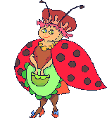 coccinelle 65