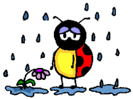 coccinelle 66