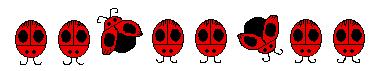 coccinelle 69