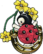 coccinelle 71