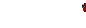 coccinelle 72