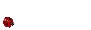coccinelle 73
