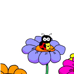 coccinelle 108