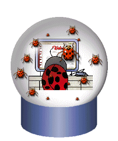 coccinelle 112