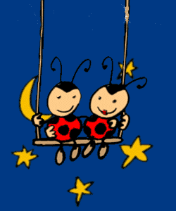 coccinelle 117