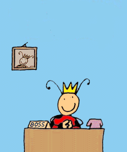 coccinelle 119