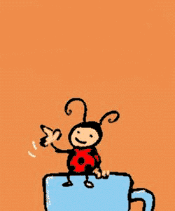coccinelle 120