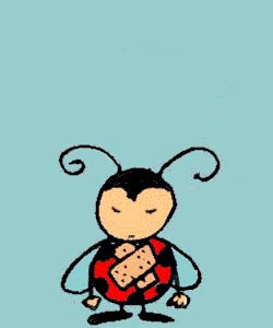 coccinelle 122