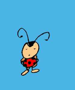 coccinelle 123