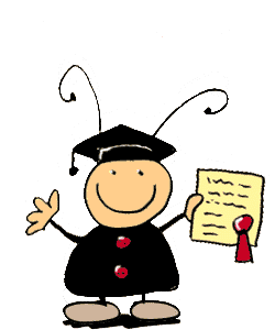 coccinelle 124