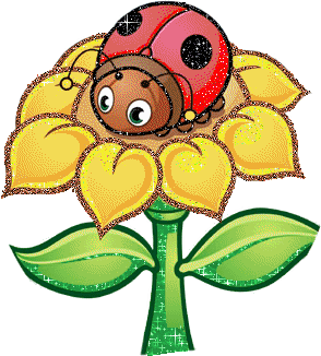 coccinelle 149