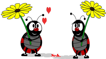 coccinelle 151