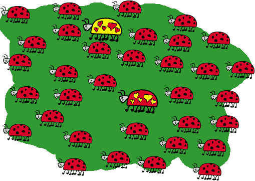 coccinelle 157