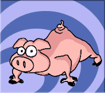 cochon 17