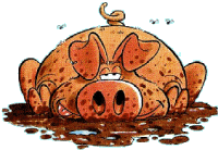 cochon 52