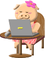 cochon 90