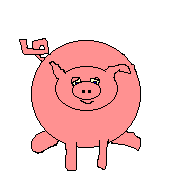 cochon 97