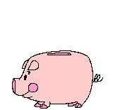 cochon 104