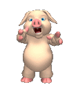 cochon 105