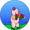cochon 107