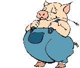 cochon 111