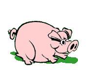 cochon 112