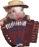 cochon 120