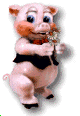 cochon 123