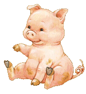 cochon 125
