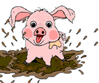 cochon 127