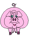 cochon 128