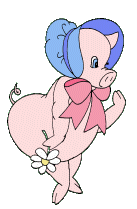 cochon 130