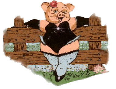 cochon 133