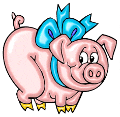 cochon 143