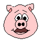 cochon 147