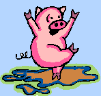 cochon 150