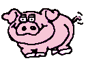 cochon 154