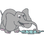 elephant 17